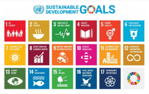 New Journal Article: “Australian Academic Libraries and the United Nations Sustainable Development Goals”